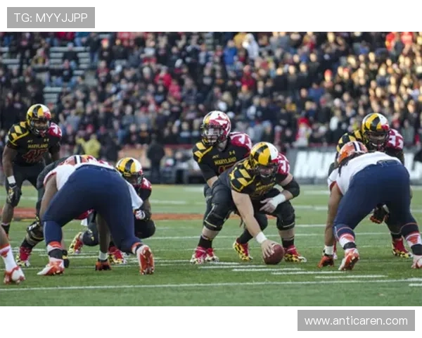 全面解析B sports入口的多种登录方式及常见问题解决方案